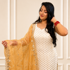 Chandni Ivory Partywear Set